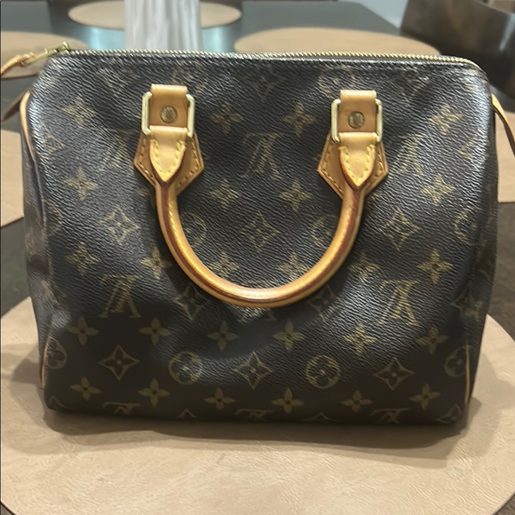Louis Vuitton Handbags - LV Mini